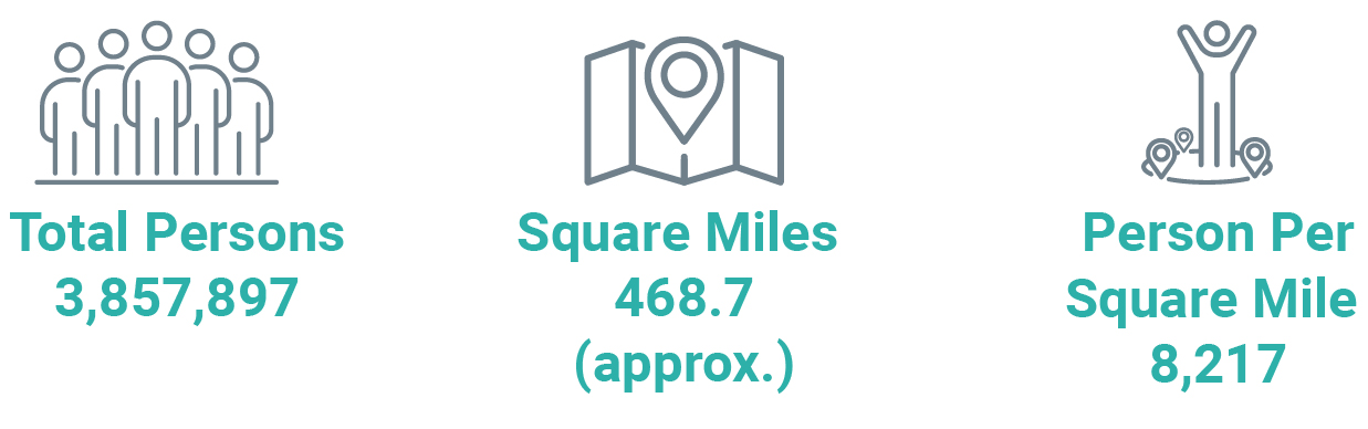 The infographics and reports summarize demographic data about the City's residents