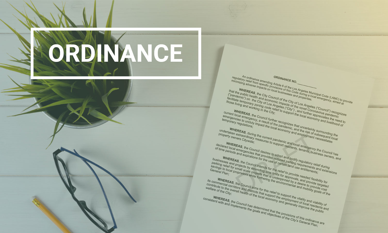 Draft Wildlife Ordinance