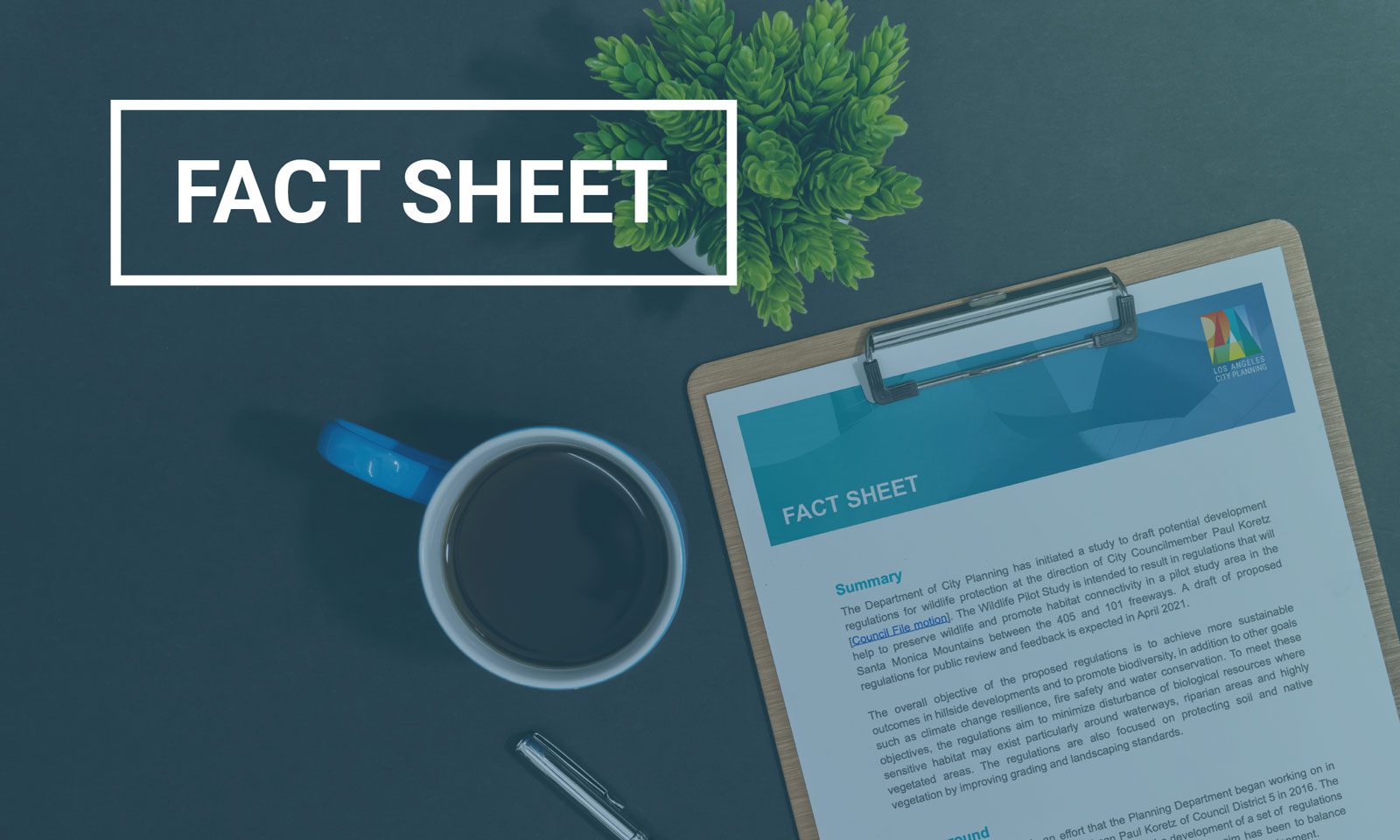 Wildlife Factsheet