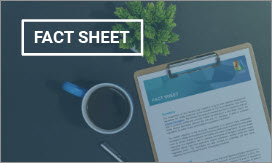 Fact Sheet